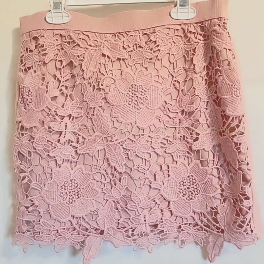 American Eagle Outfitters Size 10 Skirt Dusty Rose Floral Lace Mini Stretch